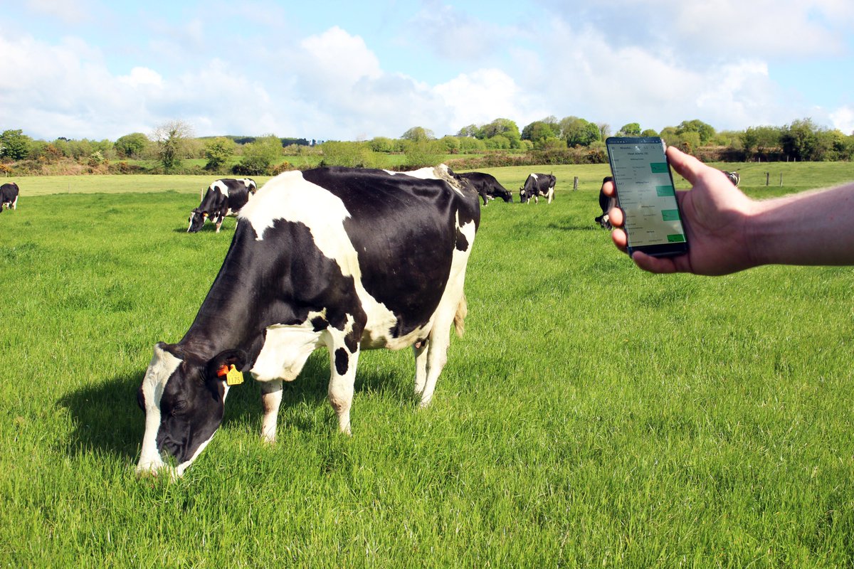 wws_ireland's tweet photo. From Ear to Here. π
CowManager measures your herd's fertility, health and nutritional status with impressive accuracy. From the revolutionary ear sensor directly to your mobile phone, you have 24/7 access to your data.
Get in touch today to find out more!
#AccuracyNoLess https://t.co/p6LqeOY4li