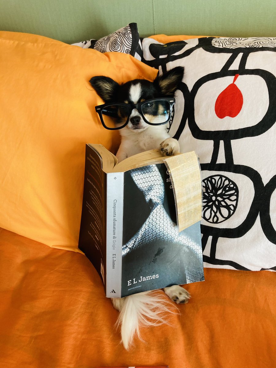 manuelaristucc1's tweet photo. Sto quasi per finire ... vado veloce 🤓😂#rocco #modello #gingillo #simpatico # https://t.co/mBmtHPSqxA