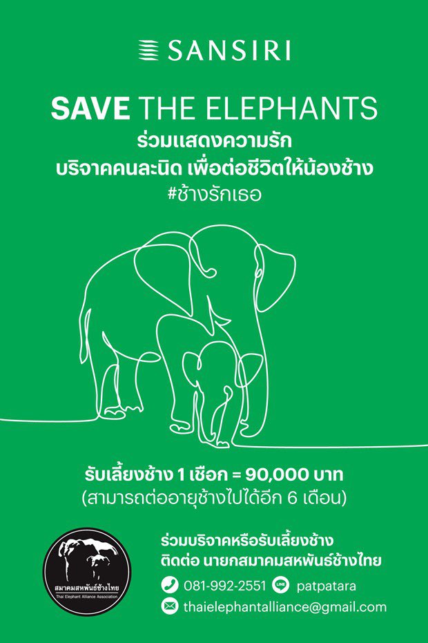PringAF5's tweet photo. นี่คือภาพส่วนหนึ่ง ที่ทางสมาพันธ์ช้างไทยส่งถึงทีมงานแสนสิริในคืนนี้ 🐘🐘🐘
ถึงจะเป็นกระบอกเสียงได้ไม่มาก แต่หากมีใครผ่านมาเห็นโพสต์นี้ อยากขอช่วยกันคนละนิดเพื่อต่อชีวิตพี่ช้างน้องช้างกันนะคะ 🤍
#SaveTheElephants #เพราะเราห่วงใย #MadeForBetter https://t.co/Aw0XM681fl