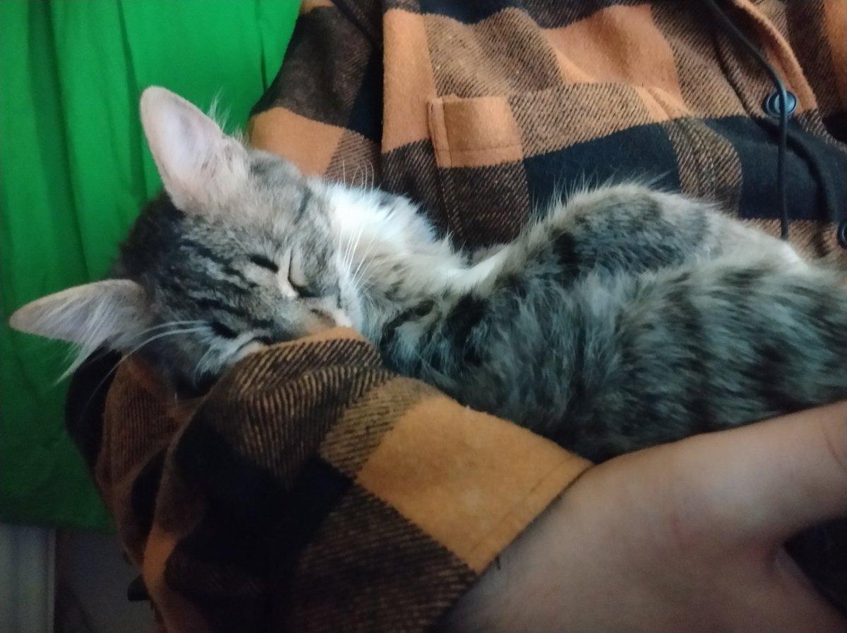 Mert_Canka's tweet photo. @cateclub #cateclub #catefamily https://t.co/rZkfLSBOA5