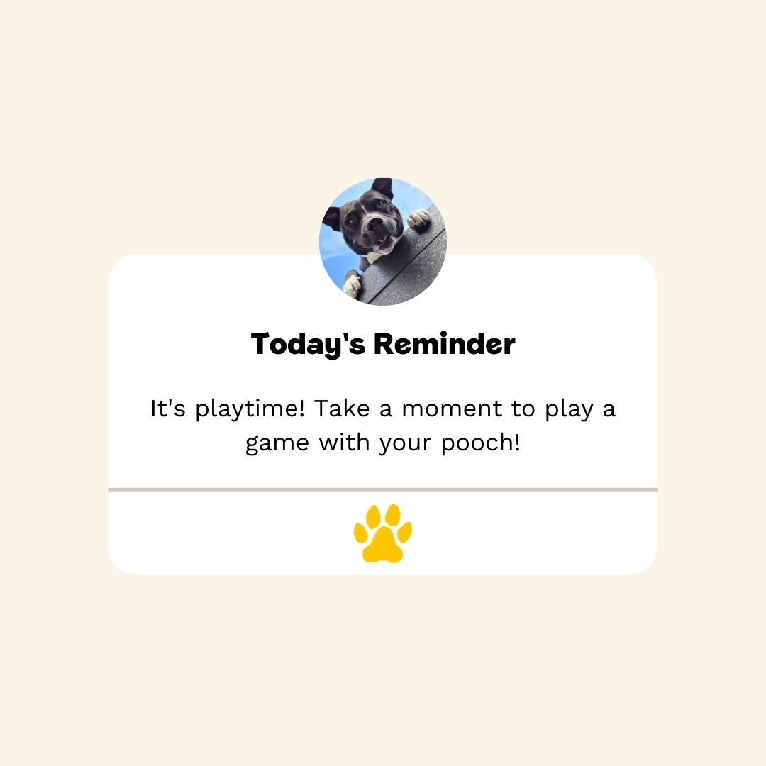 APLMagazine's tweet photo. Take a moment today and have some fun with your pooch! https://t.co/d3mlVcXDYl