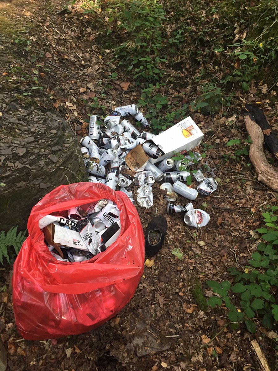 MyGreenValley1's tweet photo. Another stash of @carling This is more than just someone who likes to #DrinkEnjoyToss, this is someone who's liver needs help.
#MyGreenValley #CallingTimeOnTossers #CaruCymru https://t.co/R2VXb2wzfv