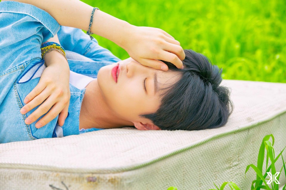 조승연폴더 tweet media