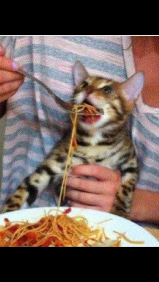 snailstring's tweet photo. To do:

1) feed the cat
2) get some $pussy

And I’ve already fed the cat
@PUSSYFinancial @stoolpresidente @EazyMacOfficial @SHAQ https://t.co/2R7yiPPa4D