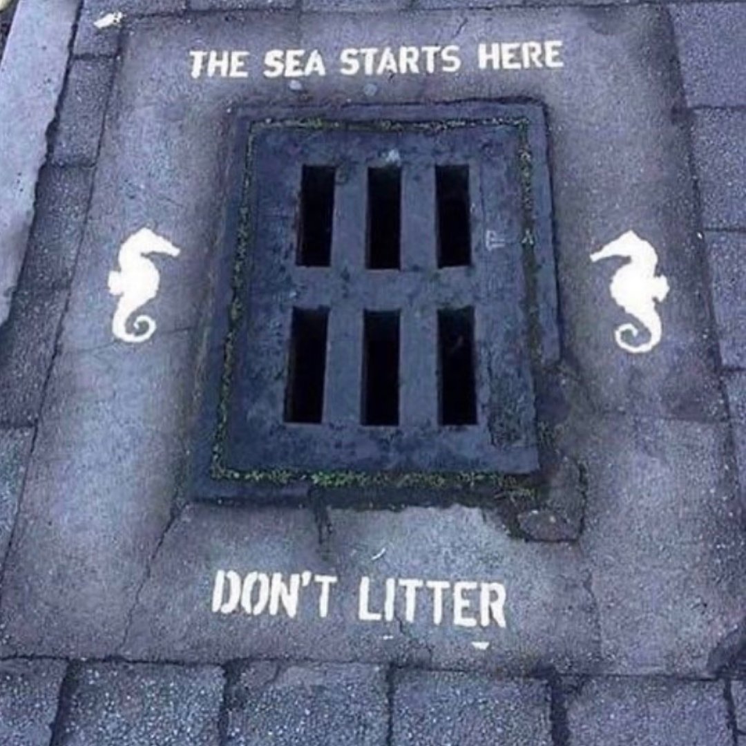 Wastenwatertech's tweet photo. Keeping our drains and water litter-free should be a top priority.
A gentle reminder... kindly don't litter!
#WasteNWaterTech #CleanOceans #SavetheOcean #Cleanwater #Dontlitter #WesternCanada #Canadianwater https://t.co/vzCM5Pqw7Y