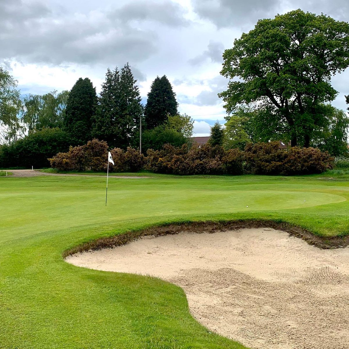 Dan Hendriksen Golf tweet media