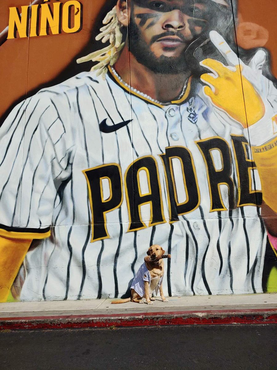 nguyeneverr's tweet photo. @tatis_jr @PetcoPark #petsofsdp https://t.co/q1k8EzqVK6