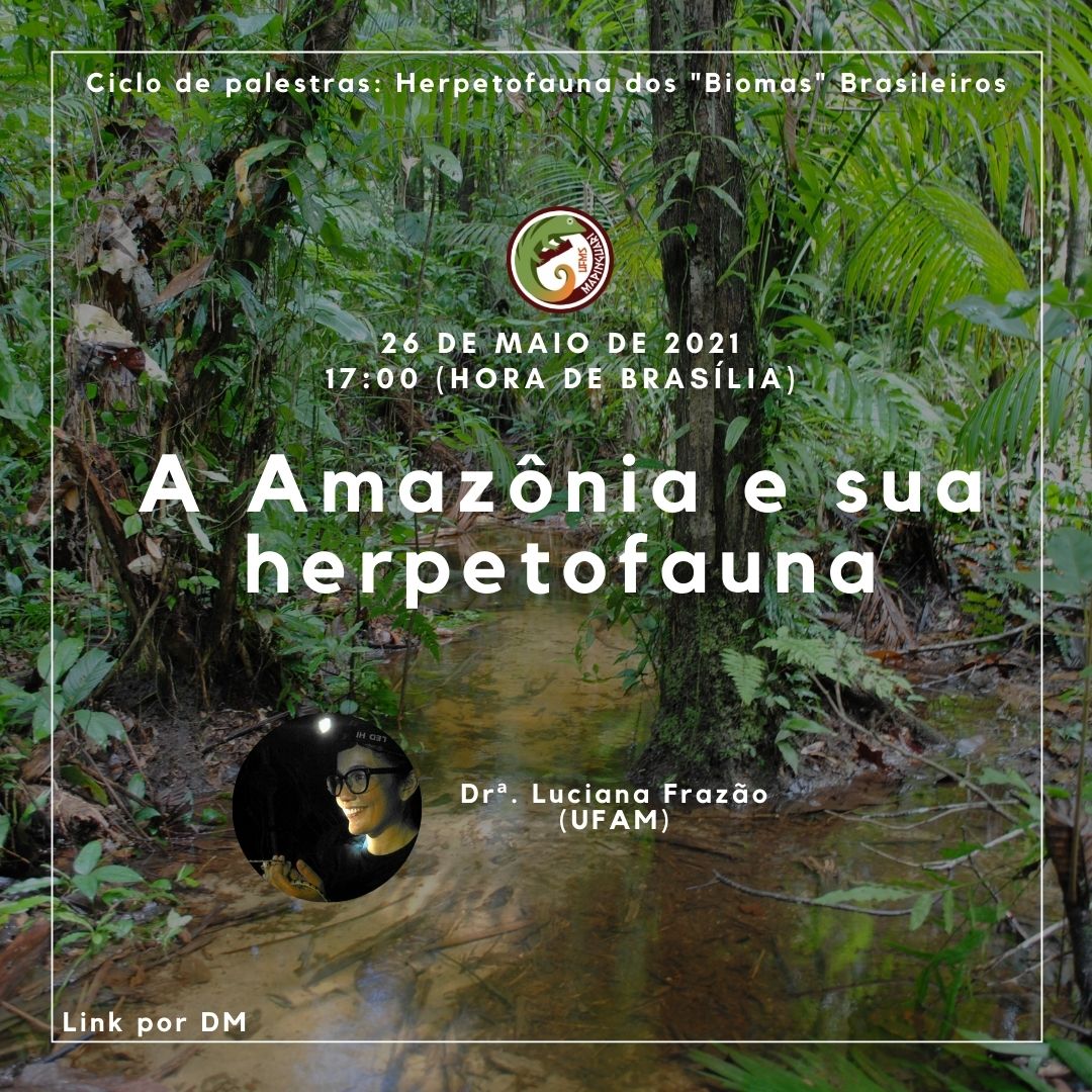diegojsantana's tweet photo. Amazônia!

Quarta-feira (dia 26/05) continuamos nosso encontro no ciclo de palestras sobre os Biomas Brasileiros e sua herpetofauna.
E nessa quarta o Dra. Luciana Frazão irá nos apresentar "A Amazônia e sua Herpetofauna".

As 17:00 (hora de Brasília). Todes são bem-vindes! https://t.co/n8InLhnYaN