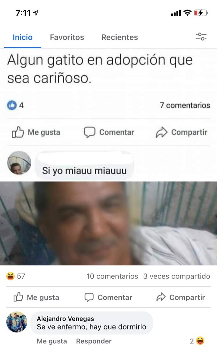 vi_facebook's tweet photo. Hombre haciéndose pasar por gato en Facebook https://t.co/WqeOOaiWlj
#Humor #Lovienfacebook #Facebook https://t.co/JpkF6cEQRX