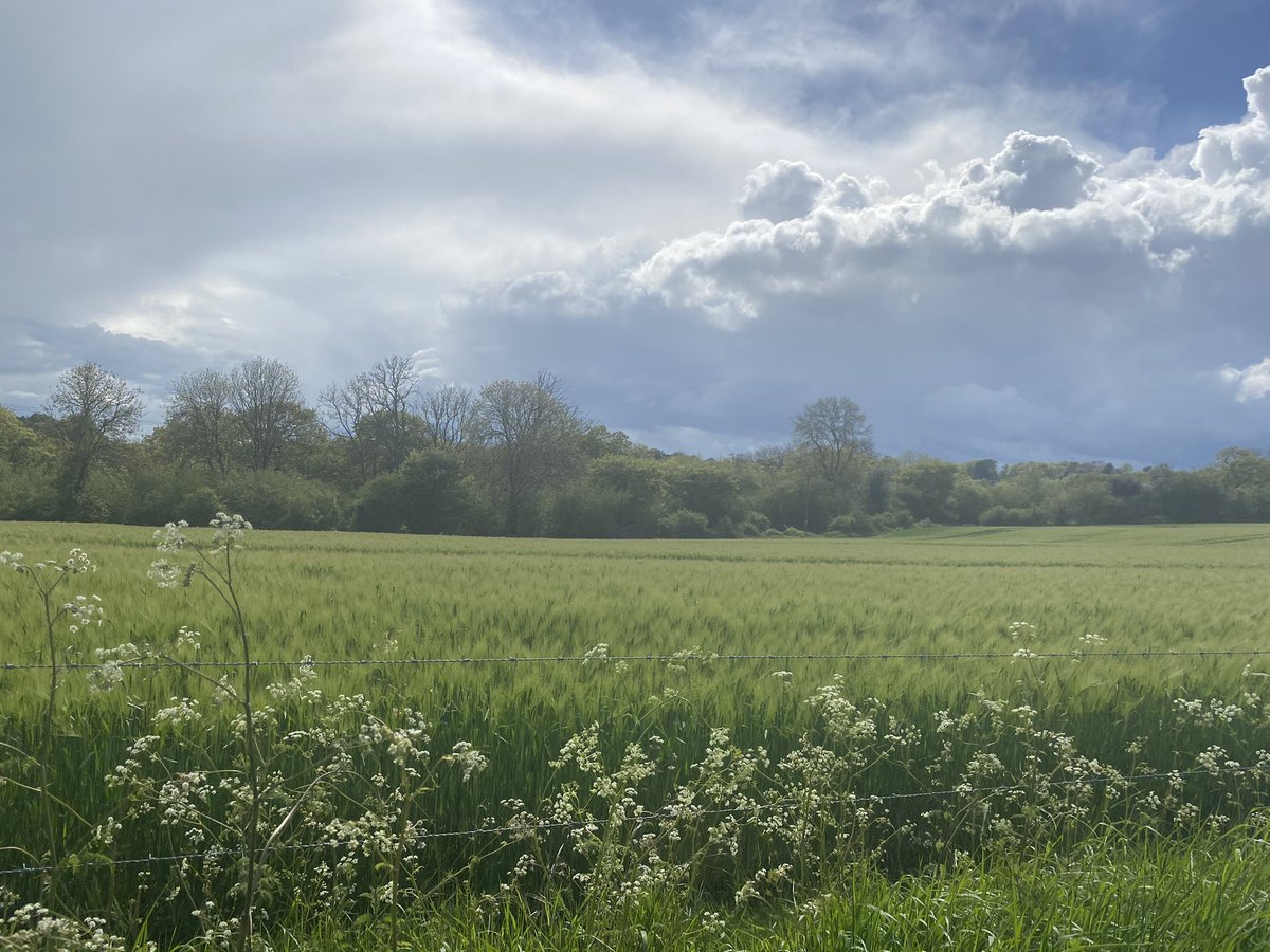 Midglet82's tweet photo. Stunning drive from work today. So many reasons to love May... https://t.co/1btni6QffM