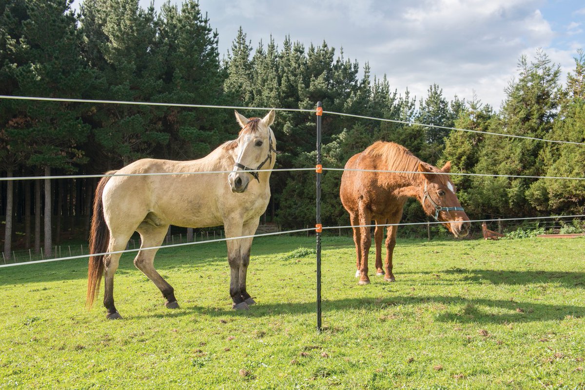 GallagherNA's tweet photo. With wood prices on the rise, our insulated line posts are a GREAT and affordable alternative to wood posts. Order here, https://t.co/lHMjzz7mwW
#ag #agriculture #farming #farm #fence #wirefencing #electricfence #wood https://t.co/laU3F4t9lB