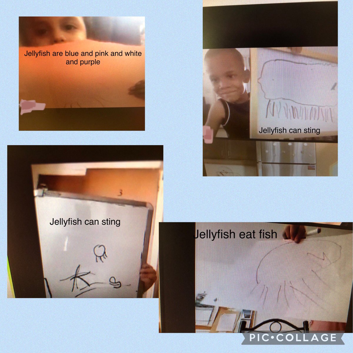 mcarr_lb's tweet photo. J is for Jellyfish! Today we read a nonfiction book about jellyfish. Ss drew/wrote their favorite jellyfish fact 🐠🌊 @jmfeclc #abccountdown #prekliteracy #virtualprek #LBtogetherwecan #juntospodemoslb https://t.co/DoVzkYbBaj