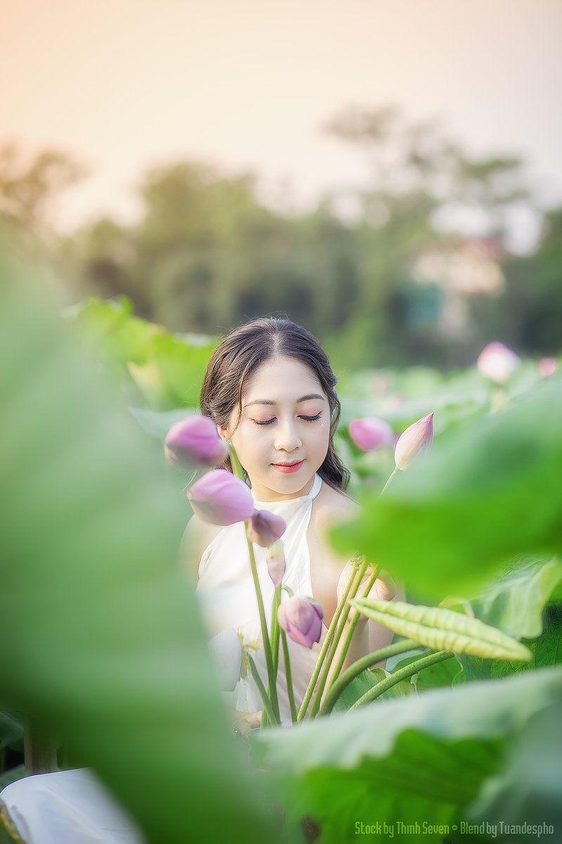 tuandespho's tweet photo. Em đang tuổi mộng xuân thì
Khi mùa rực rỡ mỗi khi hạ về
Hương lồng rải khắp miền quê
Ai yêu Sen nở hẹn thề cùng em

Stock by Thinh Seven
B&amp;R: | #Map

♐#T2nT 🤖#tuandespho
👤#Me2021 ️😝#tuan_relax 🔎#st
🎨#designer 📸#photographer https://t.co/qSzOuXjAsH