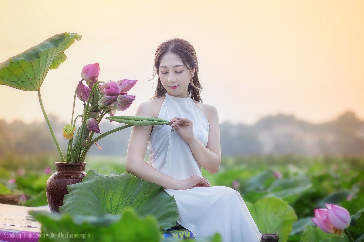 tuandespho's tweet photo. Em đang tuổi mộng xuân thì
Khi mùa rực rỡ mỗi khi hạ về
Hương lồng rải khắp miền quê
Ai yêu Sen nở hẹn thề cùng em

Stock by Thinh Seven
B&amp;R: | #Map

♐#T2nT 🤖#tuandespho
👤#Me2021 ️😝#tuan_relax 🔎#st
🎨#designer 📸#photographer https://t.co/qSzOuXjAsH