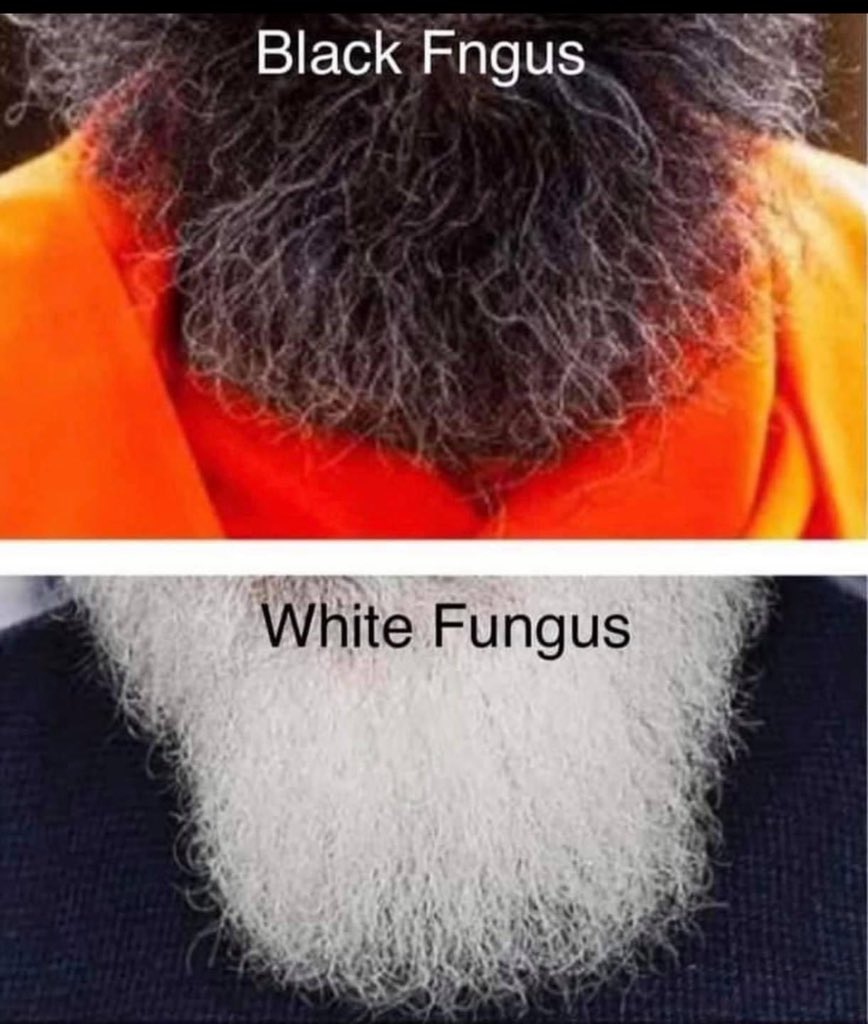 eurekaapta's tweet photo. Meme of the decade goes to the person who created this! 😂 https://t.co/SvcBtLIB7c