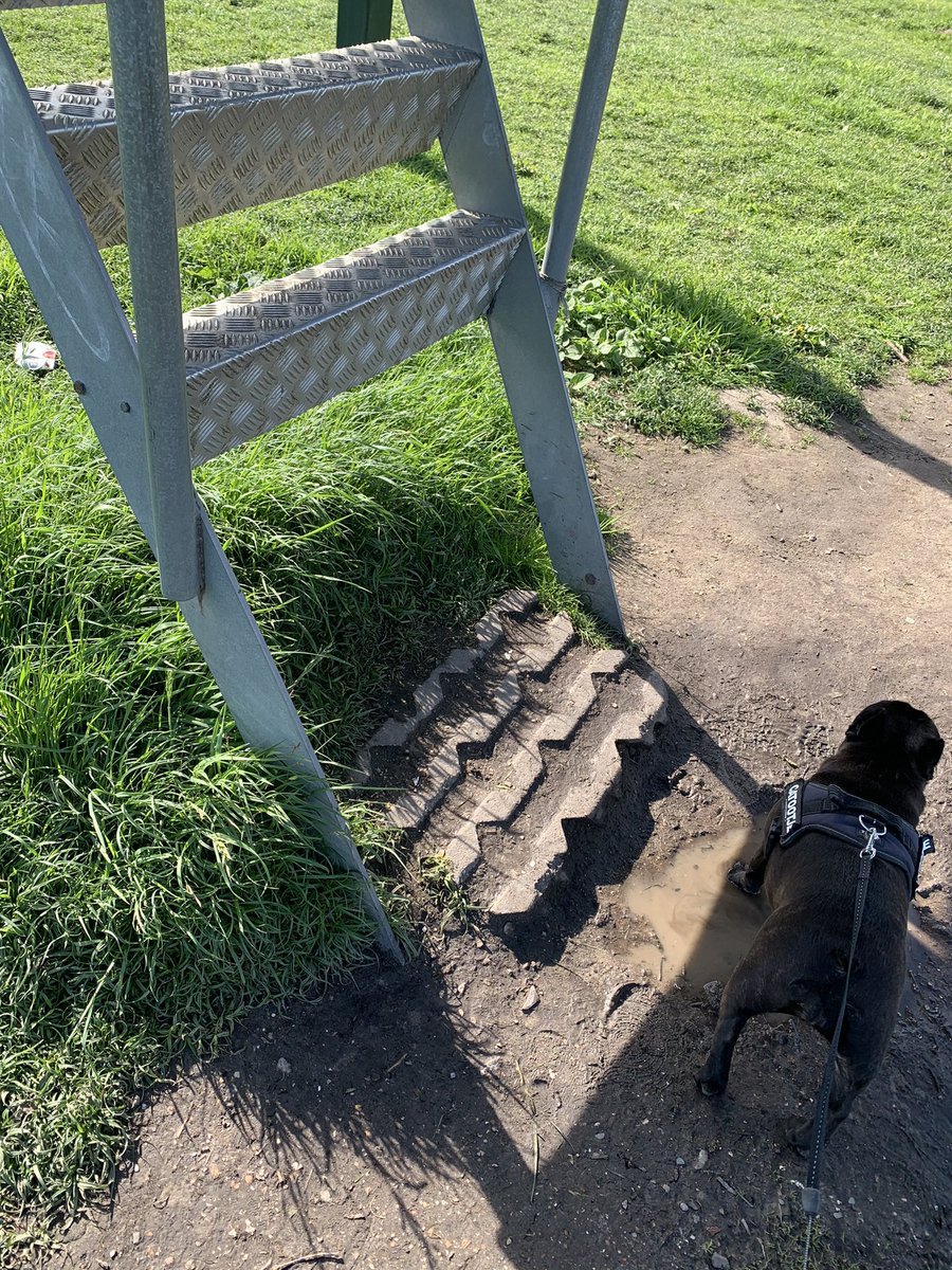 karinkayadoe's tweet photo. Kleine mensen mogen kennelijk niet het uitzicht vanuit het hoogste punt bekijken 😡#gorzen #ridderkerk https://t.co/63cxkib0kI