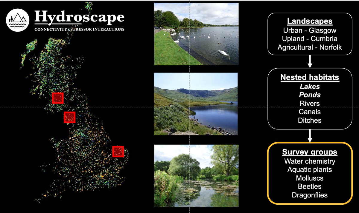 The best conference talks I give are always the night before when I'm trying to get to sleep... and I inevitably forget all the things I want to remember. So I'll see everyone tomorrow at  #epcnponds21 for an inferior talk on ponds and lakes!