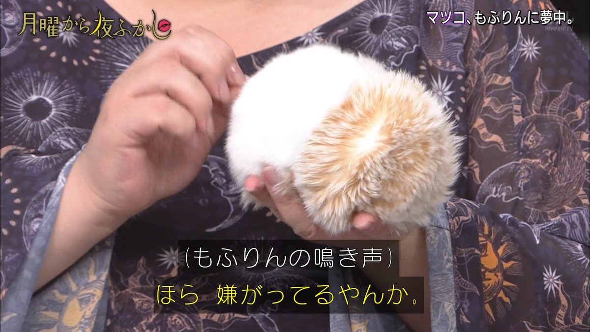 ゆくブラっ Aiペット型ロボット もふりん 月曜から夜ふかし T Co Rbvzwfavkp Twitter