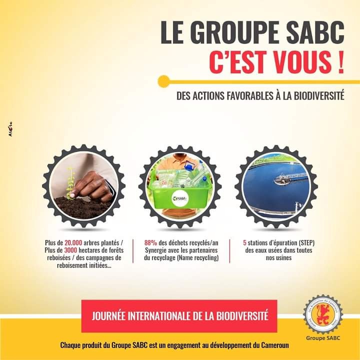 Le groupe @SABC_Brasseries c’est…
88% de déchets recyclés / an, en synergie avec NAMé Recycling.
Bravo à toute l’équipe !
Excellente semaine à tous.
N'hésitez pas à rejoindre ces entreprises écoresponsables qui nous accompagnent au quotidien.
#Sabc
#recyclage
#ecofriendly