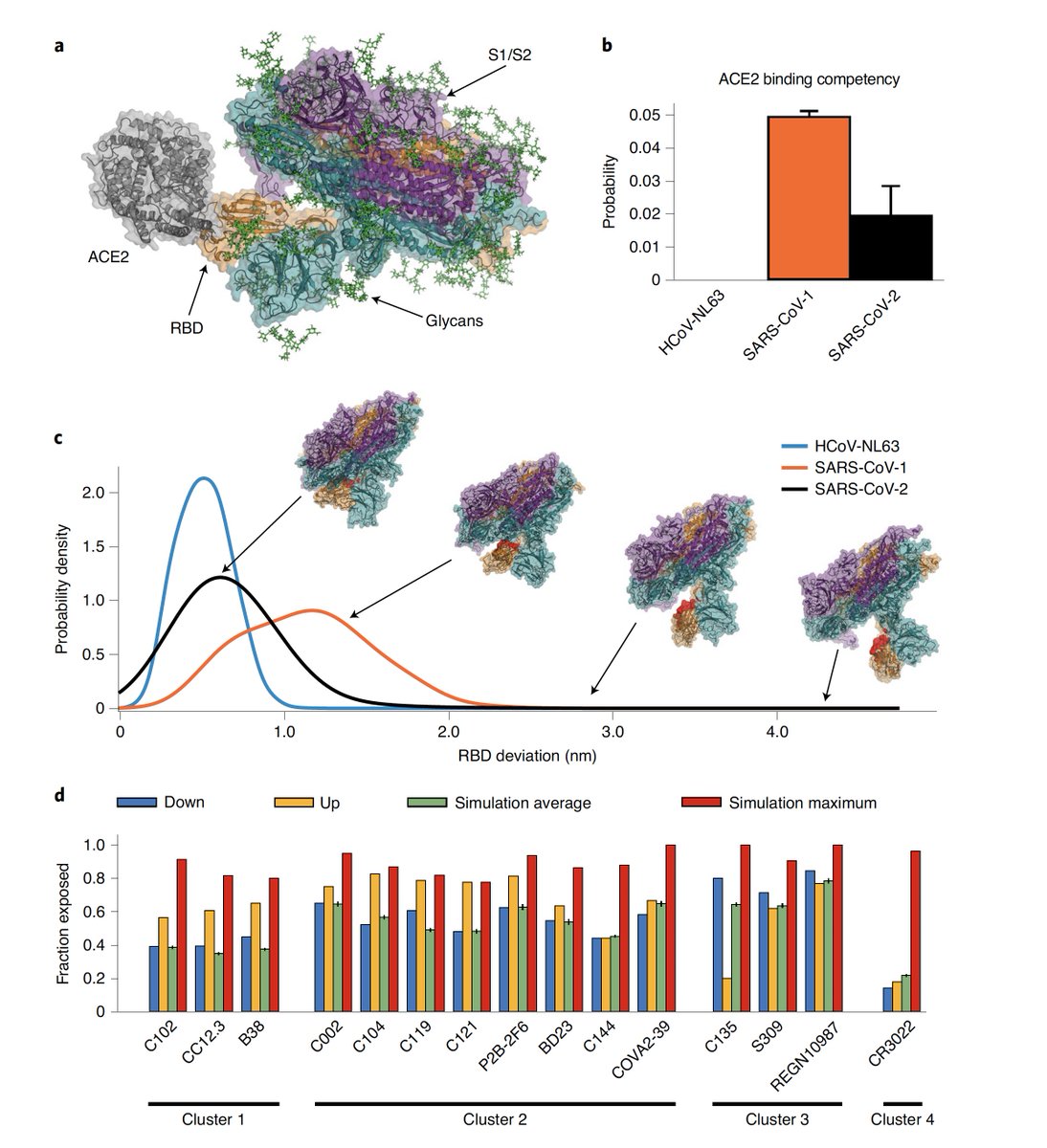 EricTopol's tweet image. An amazing 5★ story @foldingathome: over 1 million citizen scientists worked together to discover hidden antigen pockets of the #SARSCoV2, broke exascale, created the most powerful supercomputer on the planet
nature.com/articles/s4155… @NatureChemistry