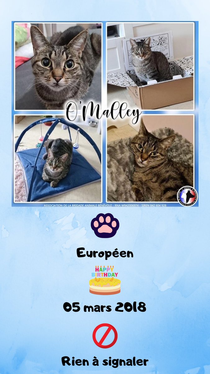 Savoir Animal Le Magazine Des Animaux Savoiranimal07 Twitter