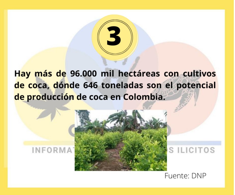 congresonegoci1's tweet photo. #SabíasQué 💡Para los organizadores del narcomenudeo es más rentable el mercado interno que exportar la droga, por ende, exponemos los siguientes datos del narcotráfico en Colombia.💡#TráficodeDrogas #narcomenudeo💊 https://t.co/UsRyWuRPWR