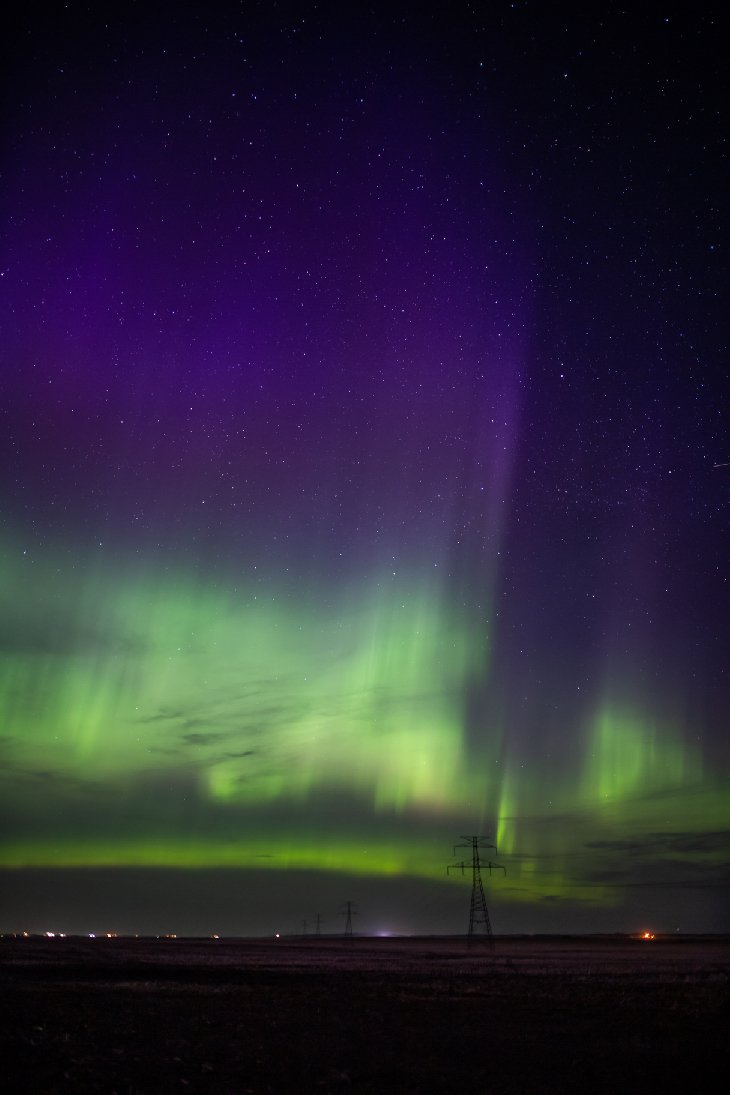 Pythagorasaur tweet media