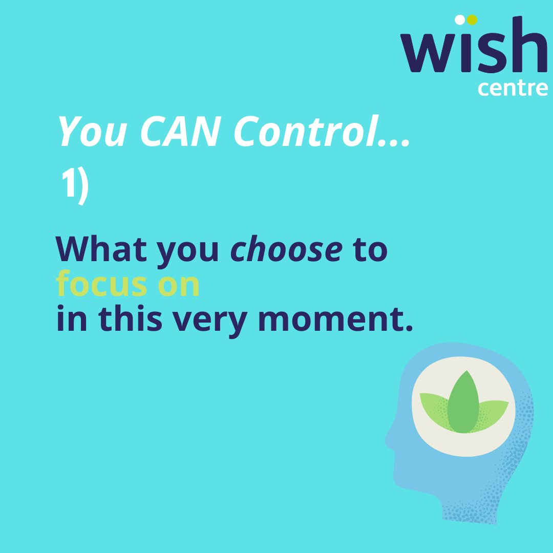 The WISH Centre tweet media