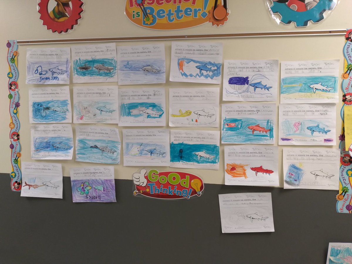 SandlinMs's tweet photo. Oceans of learning &amp; writing in 1A! #hbg_senators #buildingscholars #HBGPLAmagic @Library_HBGPLA @HbGonzalezPta @HBGonzalezPLA  @Tanya_N_Shelton @ICanReadDallas @PrincipalRey https://t.co/1t2Q1QsF1I
