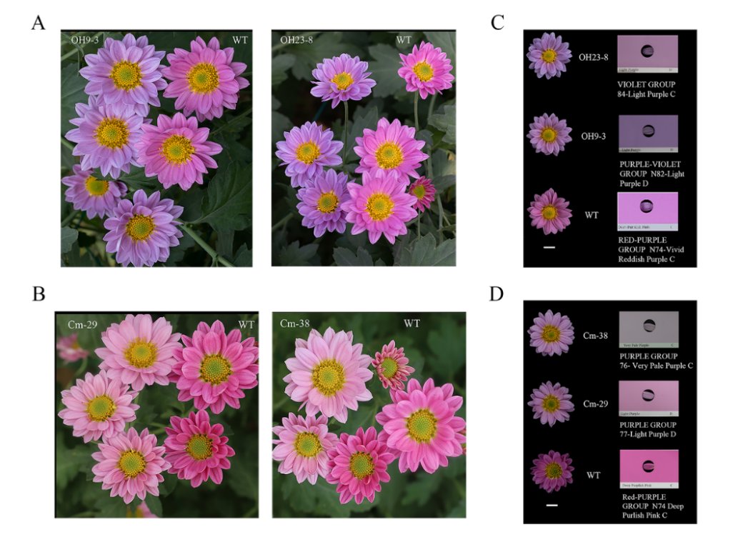 Ornamental Plant Research (OrnPRes) Twitter