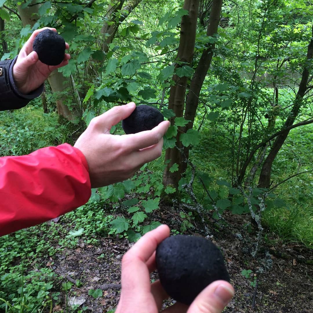 slowfoodglasgow's tweet photo. Last week together with other activists around Europe, we took part in the #FlowerBombChallenge by making and throwing a couple of dozen of Flower Bombs. Made with native wildflower seeds, these seed balls aim to attract pollinators. @SlowFoodHQ @SlowFoodEurope https://t.co/MKlumotJai
