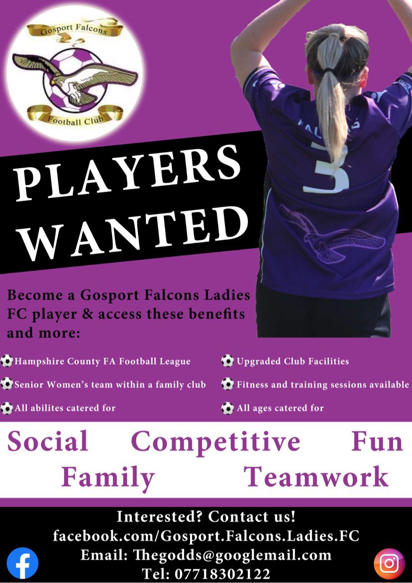 Gosport Falcons Ladies tweet media