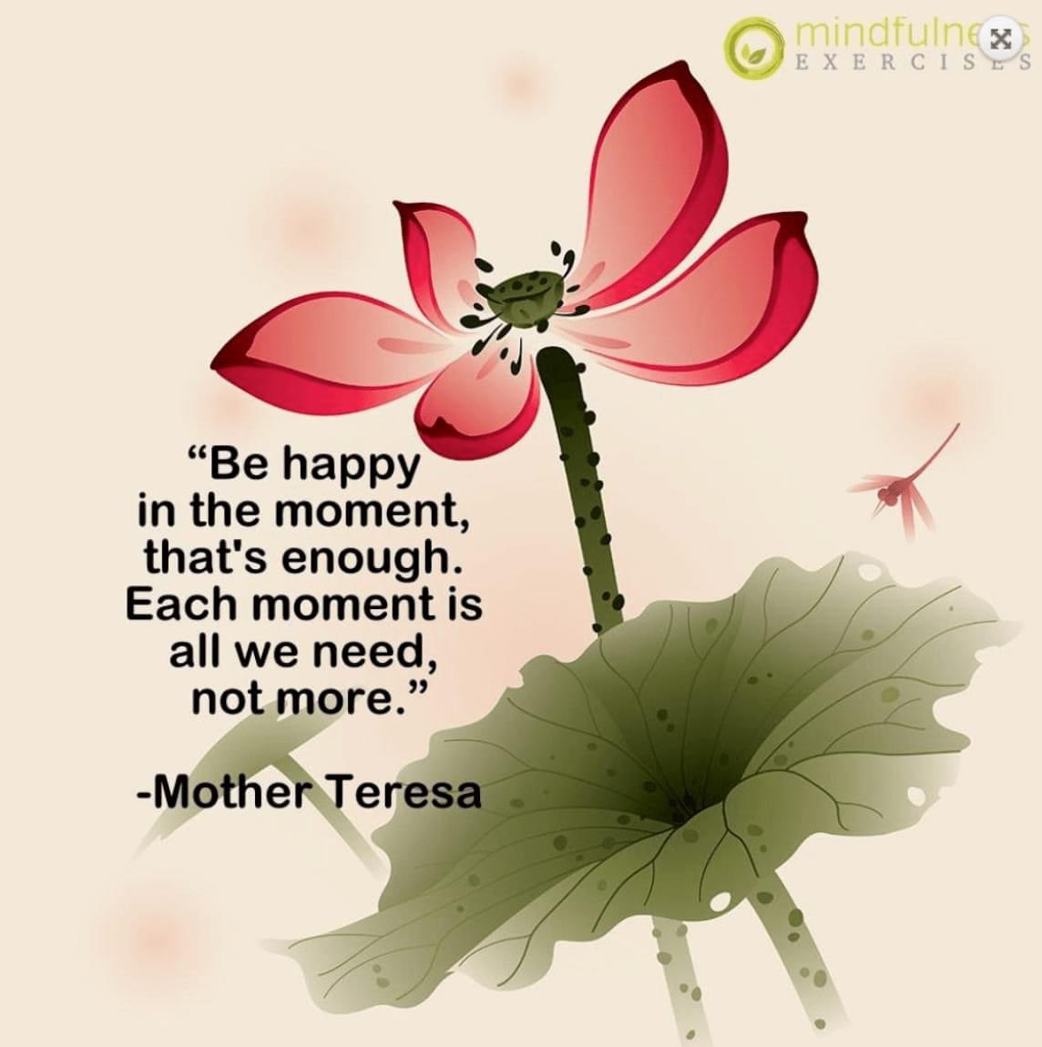 CouncilWillow's tweet photo. Mindful Monday....enjoy the moment 💗 https://t.co/ZoZVedcge4