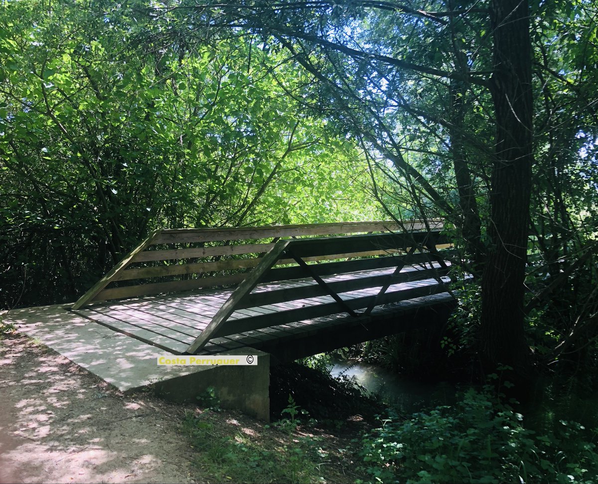 Ramon Costa (@costaperruquer) on Twitter photo 