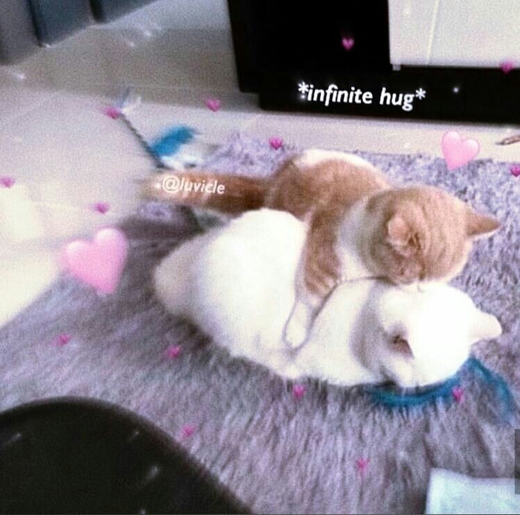 good night sayang, have a nice dream ya, i just want u to know, that i woof u so much