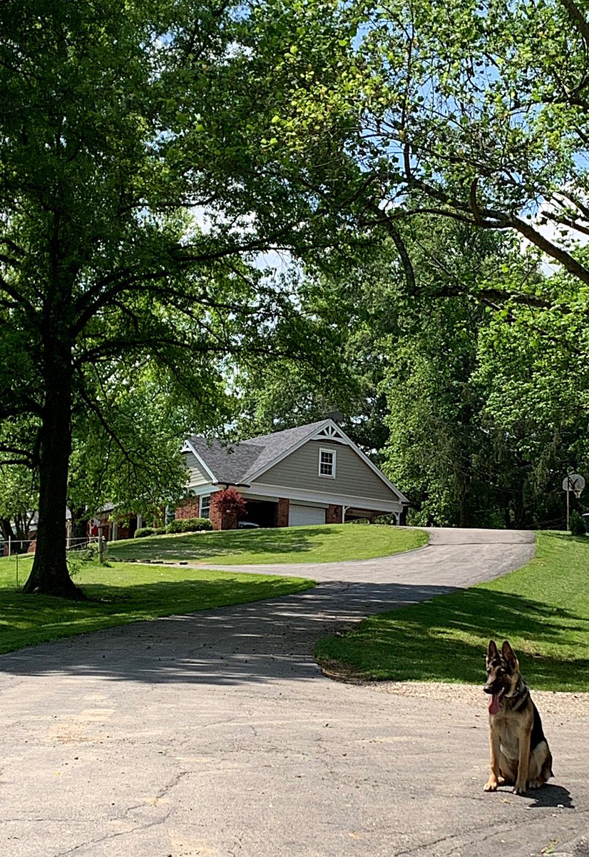 Cami Ryan, PhD tweet media