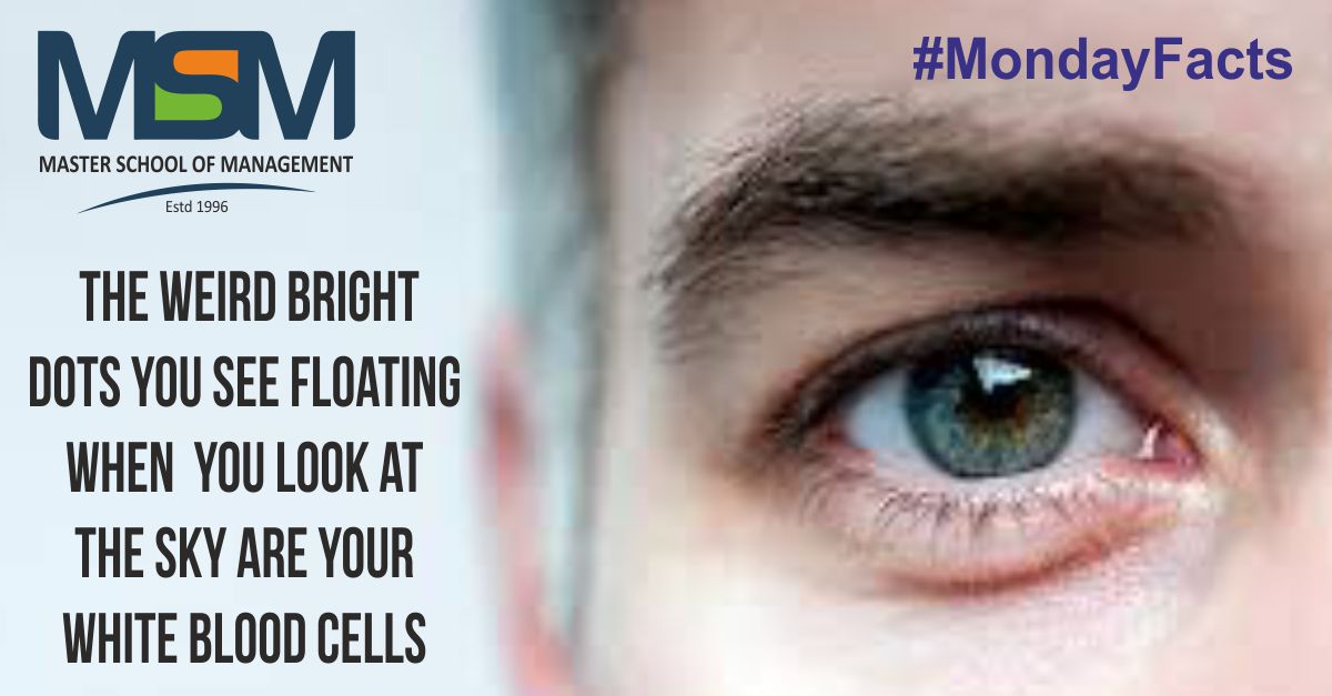 MsmindiaOrg's tweet photo. Did you know that the weird bright dots you see floating when you look at the sky are your white blood cells!
#MondayFact #InterestingFact #AmazingFact #didyouknowfacts #BBA #Businessschool #factsdaily #knowledge #dailyfacts #PGDM #MSM #MasterSchoolOfManagement #managementcollege https://t.co/wD7DB3atQ6