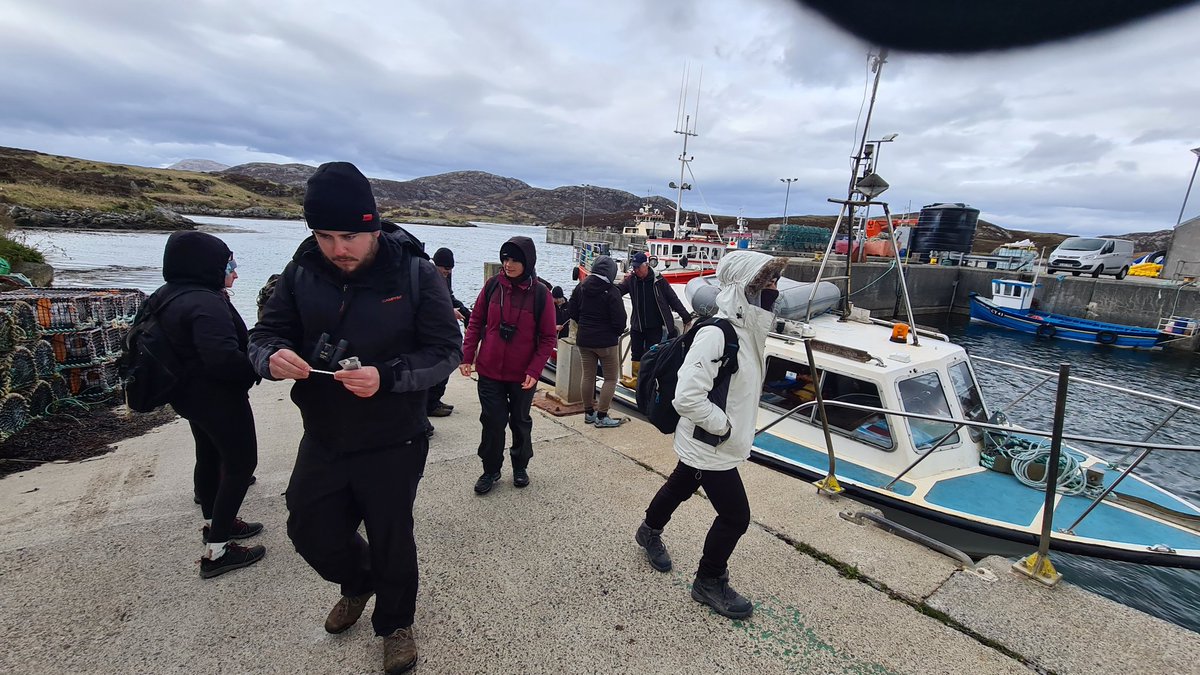 BECoS-MDX tweet media