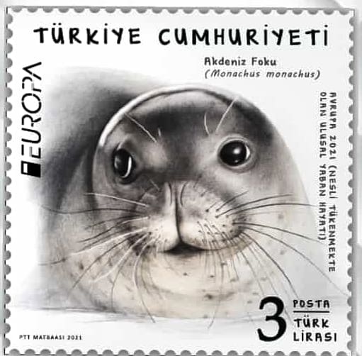 moep__tr's tweet photo. Bağlantıda oy desteğinizi bekleyen tatli bir  Akdeniz Fok'u pulu var. Posta pulu oylamanızda ulke kısmından Türkiye'yi seçip destek olabilirsiniz. Biliyorsunuz bizim de evlat edindiğimiz bir "Fok Mars"ımız var. Hep birlikte yükleniyoruz 🇹🇷.

https://t.co/Fj973hMfjs https://t.co/fWCOptWkpt