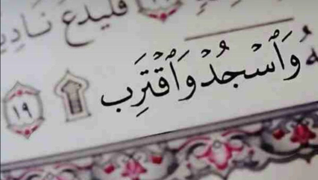#فائده🔖🌿

قال ﷺ:
إذا قرأ ابن آدم السجدة فسجد اعتزل الشيطان يبكي يقول:
 ياويله،أُمر ابن آدم بالسجود فسجد فله الجنة وأمرت بالسجود فأبيت فلي النار.
رواه مسلم.
في الصور التاليه مايقال في سجود التلاوة.

📿 للاضافه لـ قروباتنا <a href="/666___Q/">✯‏‏ ‏‏‏✯‏‏ا̍ﻻ̍ۙدٰا̍ڕۃ ּا̍ڶــ؏ــٰا̍مۘــۃ✯‏‏ ‏‏‏✯‏‏</a> 📿