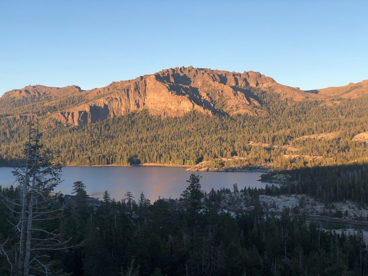 LivingROI tweet media