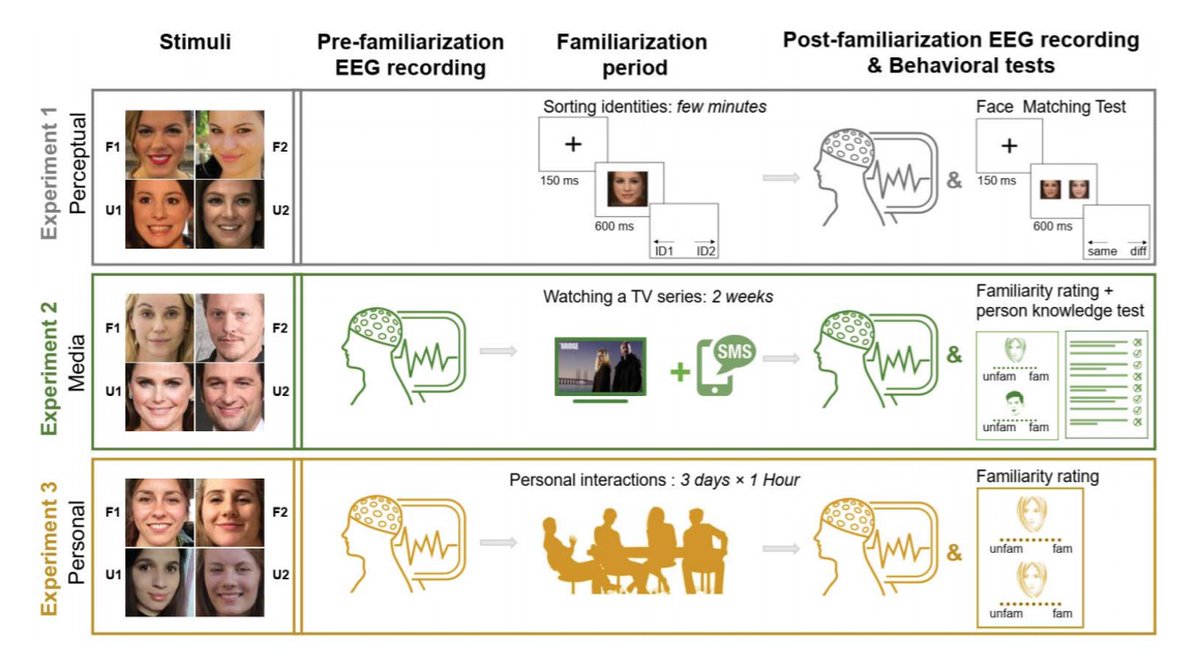SfN Journals (@sfnjournals) on Twitter photo Little is known about how neural representations of faces change as they become familiar. New #JNeurosci from <a href="/GGAmbrus/">Géza Gergely Ambrus</a>, <a href="/gkovacs1965/">gyulakovacs</a> et al. @JenaBPCN finds the brain signal linked to face familiarity is strongest after getting to know someone in-person.
jneurosci.org/lookup/DOI/10.⊠Little is known about how neural representations of faces change as they become familiar. New #JNeurosci from <a href="/GGAmbrus/">Géza Gergely Ambrus</a>, <a href="/gkovacs1965/">gyulakovacs</a> et al. @JenaBPCN finds the brain signal linked to face familiarity is strongest after getting to know someone in-person.
jneurosci.org/lookup/DOI/10.âŠ