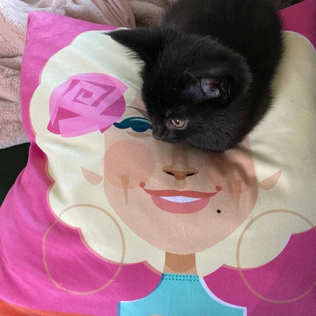 Reloved Upholstery & Design tweet media