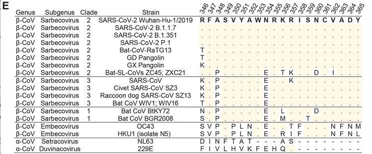 mmw_lmw's tweet photo. #SARSCoV2 | #ClonalAnalysis of ImmunoDominance and cross-reactivity of the #CD4_T_cell response | Antonino Cassotta @USI_university @ScienceMagazine https://t.co/9wNH3ueUmv https://t.co/ANtipKvy8l
