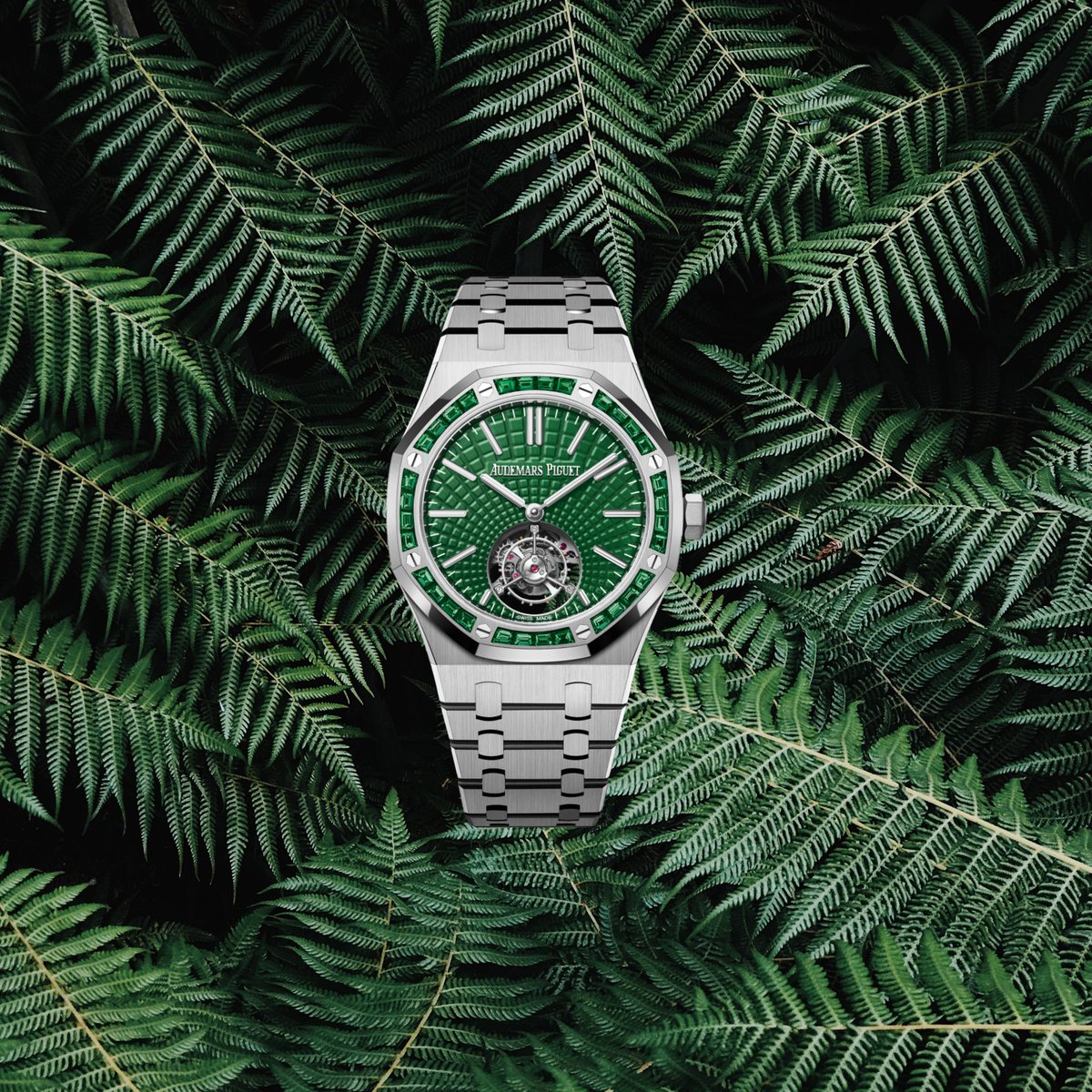 Watch Vault tweet media