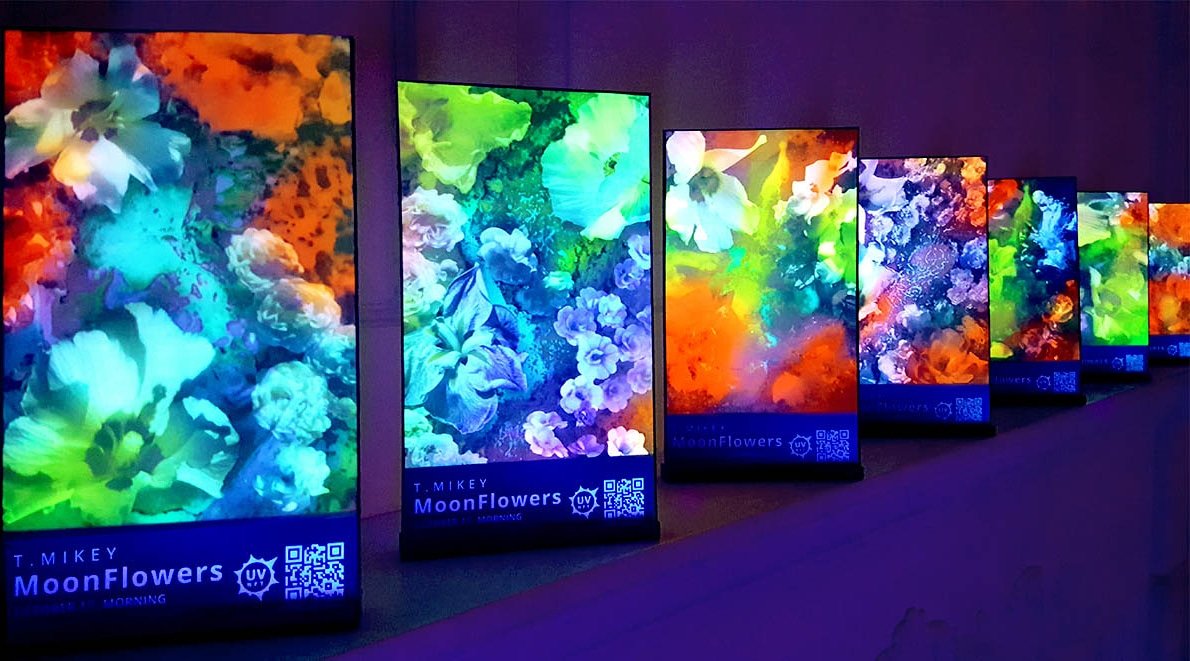 tmiketracy's tweet photo. MoonFlowers 
UV-NFT collection

https://t.co/54sxp88M5F

#nft #uvnft #digitalart  #physicalnft #uv #flowers #blacklight https://t.co/hApBQ4jyjB