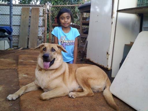 isabelcarpio_'s tweet photo. Duke, you were the best dog i could ever ask for. Thank you for filling up my life with so much joy. Comforting me when I would have my bad days. Really hoping god is treating you good up there, giving you plenty of steak. Run free my baby, i’ll see you soon. I love you Dukey ❤️ https://t.co/ajm2d5KXlM