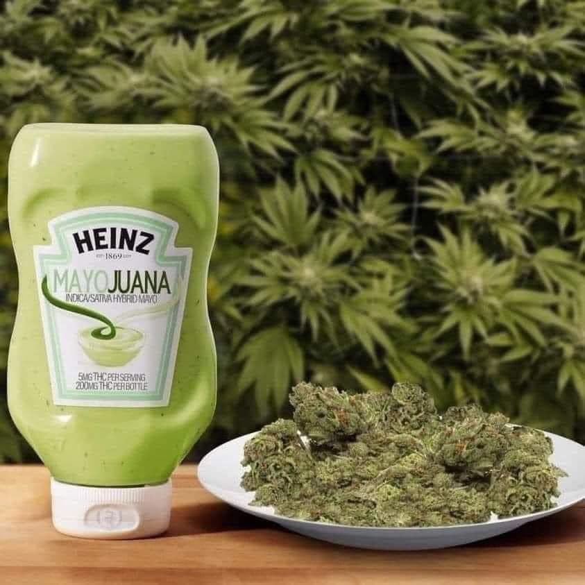 Take my money #mayojuana #yes #sammies #potatosalad #imhungry #weed #whodidthis #theamericaliberalswant #poolboymagazine