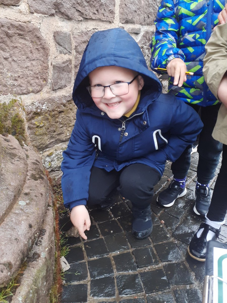 Mrs_Chapman_'s tweet photo. P1 used their observation skills while out on their first minibeast hunt this afternoon @stmungoalloa https://t.co/kcd8NiDGQJ