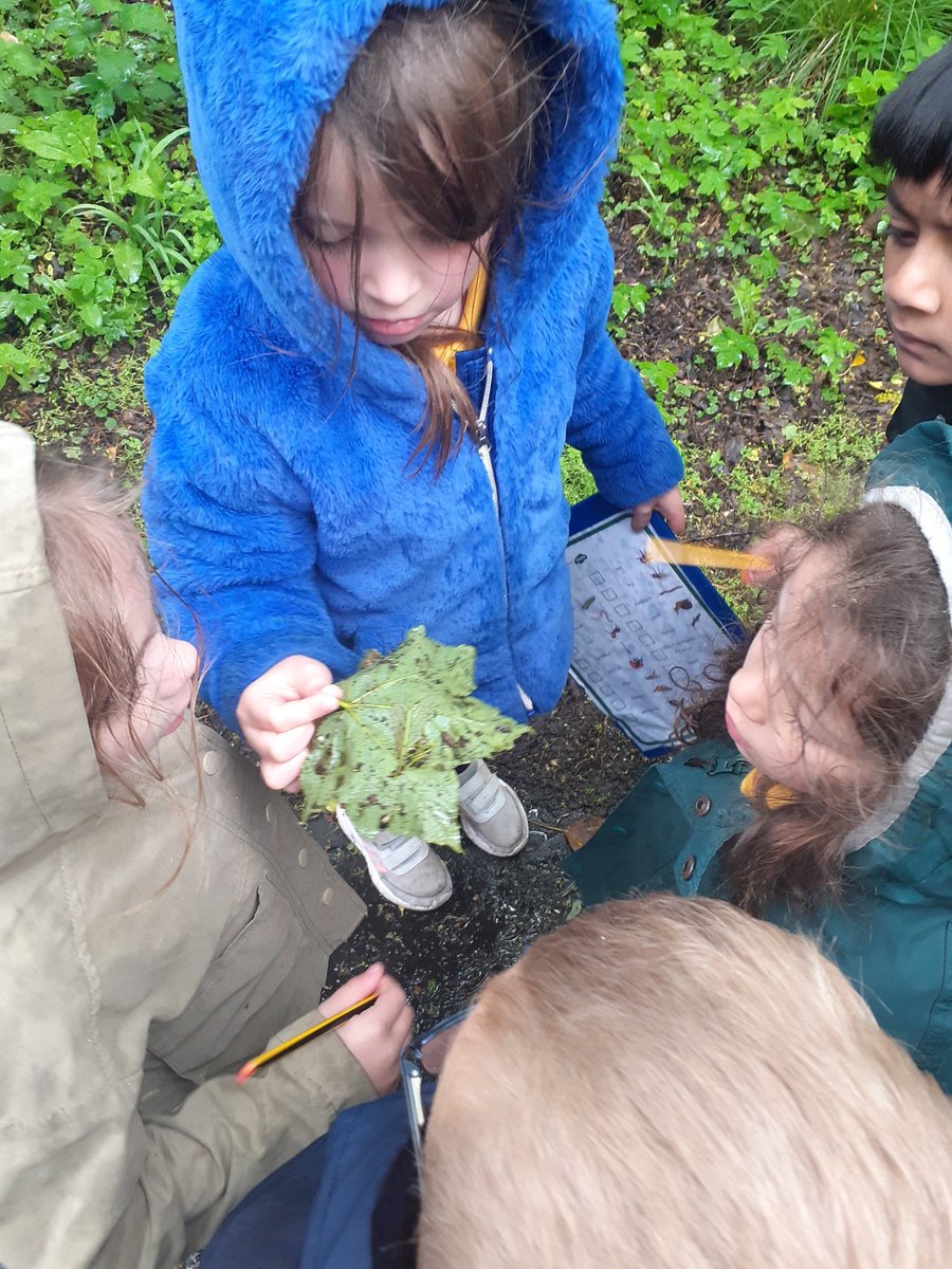 Mrs_Chapman_'s tweet photo. P1 used their observation skills while out on their first minibeast hunt this afternoon @stmungoalloa https://t.co/kcd8NiDGQJ